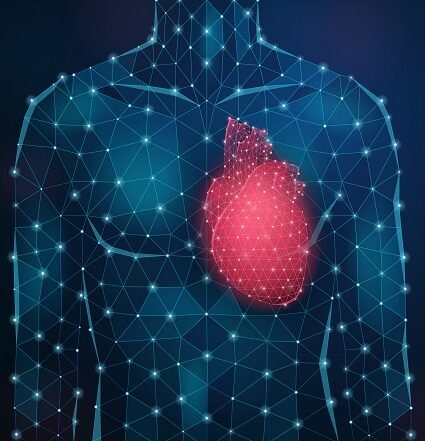 Digital outline of a human chest with a luminous heart illustration, depicting advanced cardiac technology used by Dr. Akhilesh Jain.